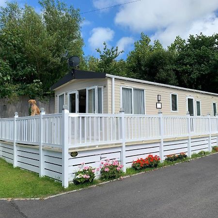 Mollys Retreat Pet Friendly Three Bed Caravan With Small Garden Newquay Bay Resort Quieter Area Of Park المظهر الخارجي الصورة