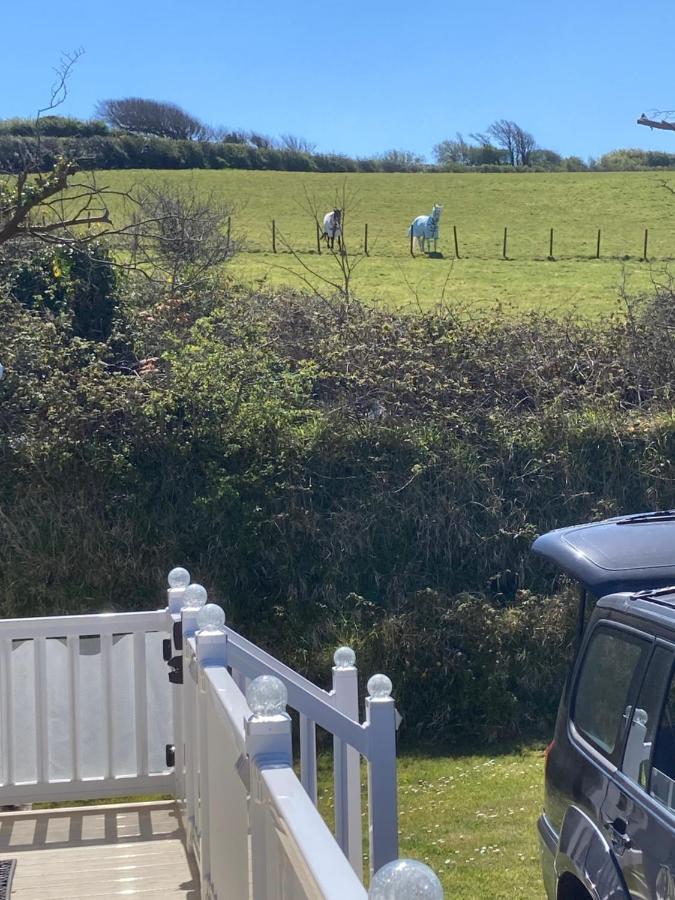 Mollys Retreat Pet Friendly Three Bed Caravan With Small Garden Newquay Bay Resort Quieter Area Of Park المظهر الخارجي الصورة